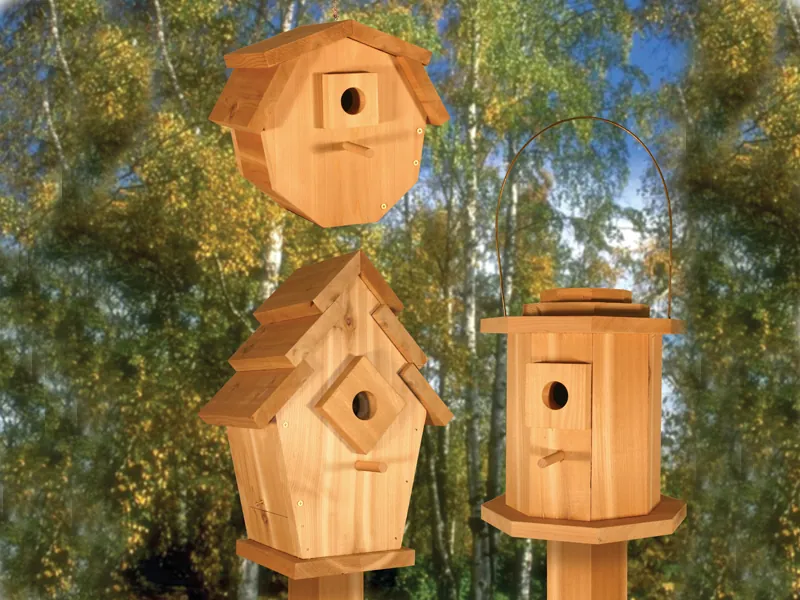 Birdhouse Village II includes three unqie birdhouses all with a different shape and size