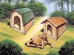 Doghouse Plans