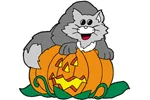 Cat on pumpkin is a fun and whimsical way to celebrate Halloween 