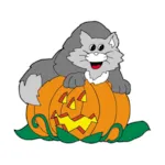 Cat on pumpkin is a fun and whimsical way to celebrate Halloween 