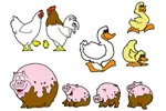 Ducks, chickens and pigs are great backayrd additions to your farmhouse style home