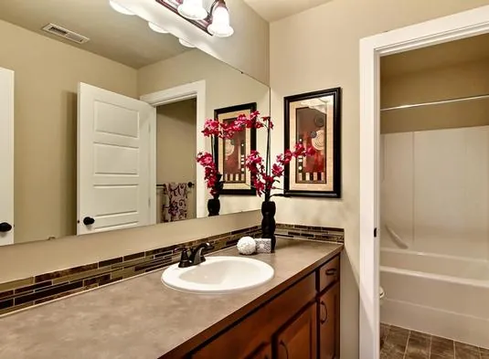 Modern House Plan Bathroom Photo 01 - Dylan Creek Traditional Home 071D-0081 - Search House Plans and More