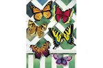 Five styles of beautiful butterflies can be painted and added to a latticed trellis or arbor