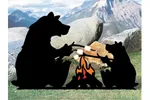 Bears roasting marshmallows is a rustic and fun pattern to add to a wilderness setting