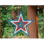 This windspinner star adds great color and motion to your backyard