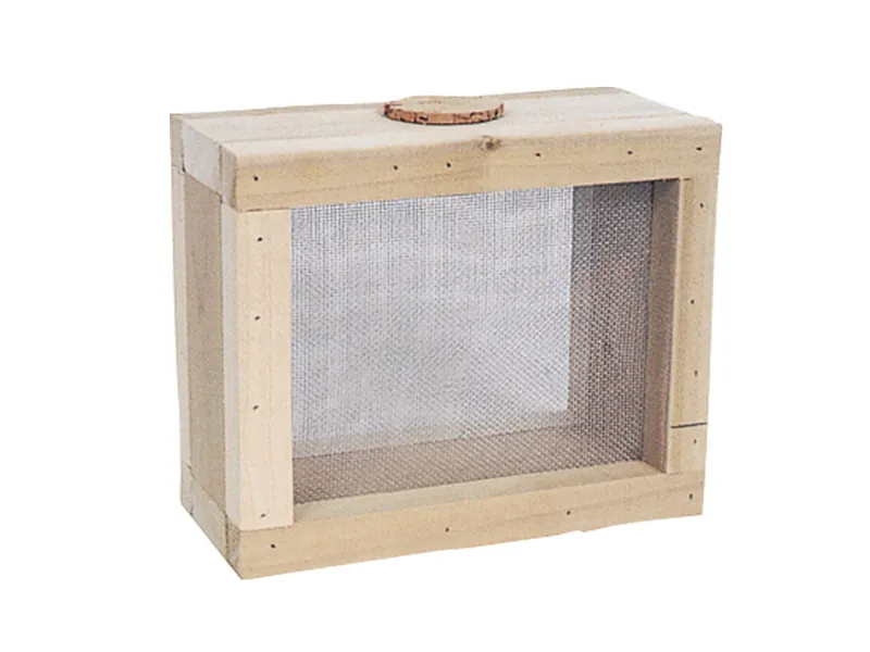 Children's bug keeper has screen sides for ventilation