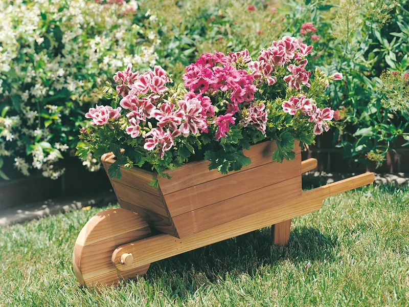 Whelbarrow planter is made of redwood cedar and holds many plants and flowers
