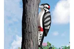 Big 3D woodpecker is a great pattern for attaching to a tree